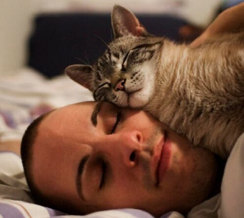 ძილი კატასთან, როგორც პარაზიტებით დაინფიცირების მიზეზი